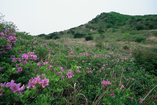 사진26