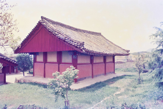 사진7