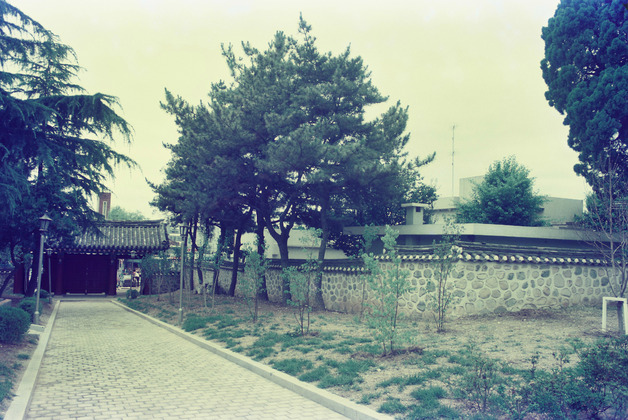 사진19