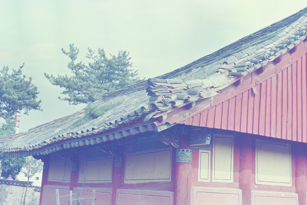 사진60