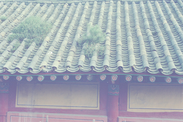 사진61