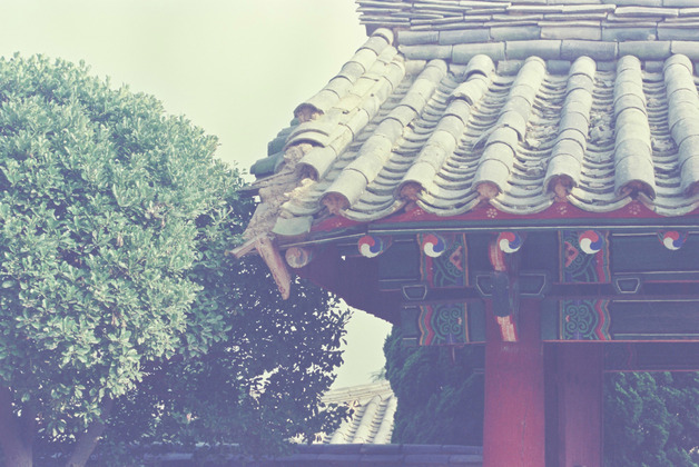 사진65