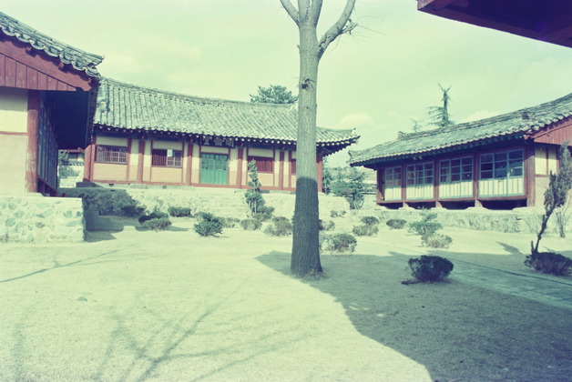 사진84
