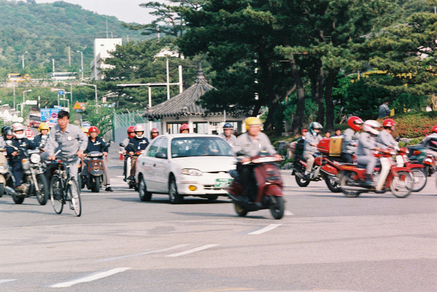 사진12