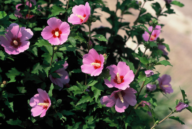 사진10