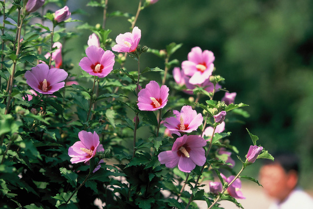 사진16