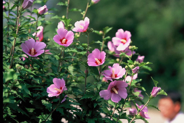 사진17