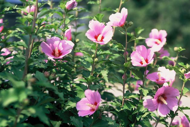 사진19