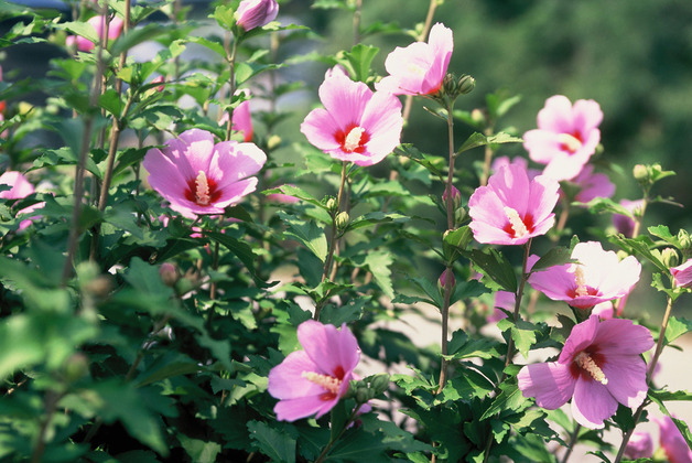사진20