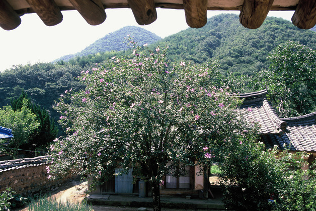 사진24