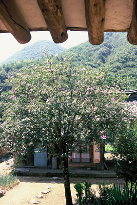 사진25