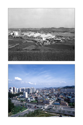 선경직물