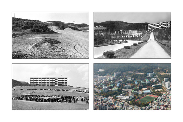 울산대학교