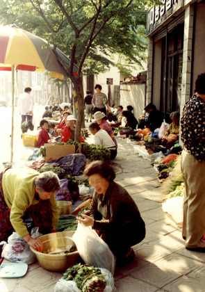 사진2