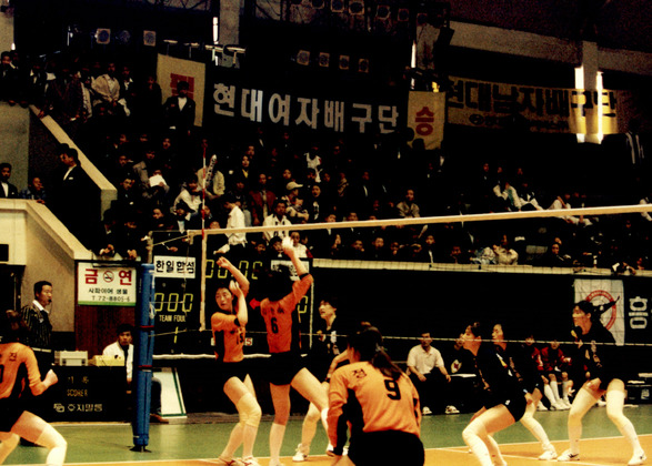 한국 배구대제전 1차대회