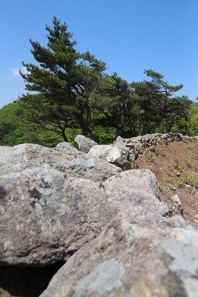 사진10