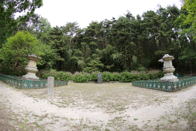 사진6