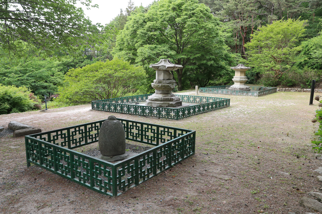 사진8