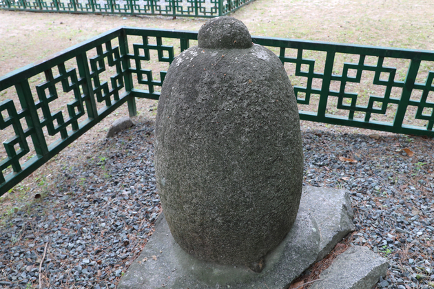 사진9