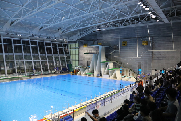 제103회 전국체전 수영 (다이빙)