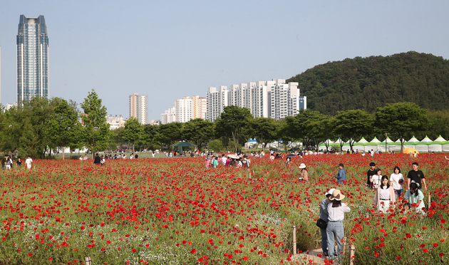 2023 태화강국가정원 봄꽃축제