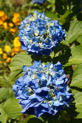 사진7