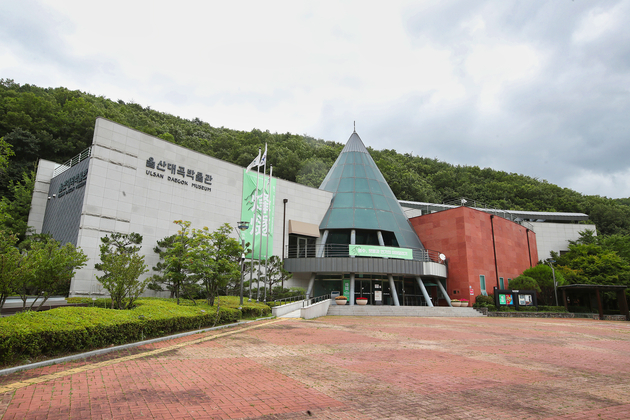 대곡박물관