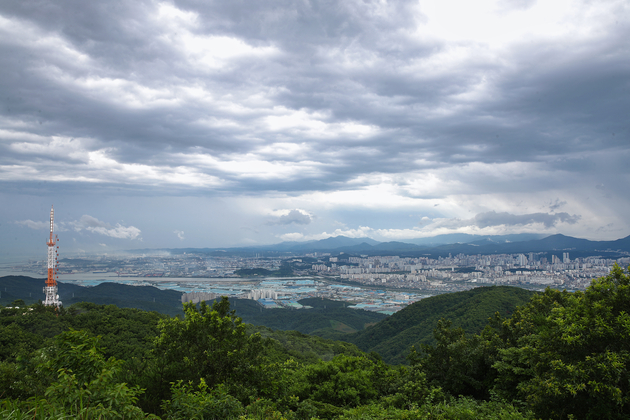 무룡산에서 바라본 시가지 전경