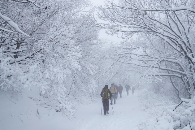 가지산 설경