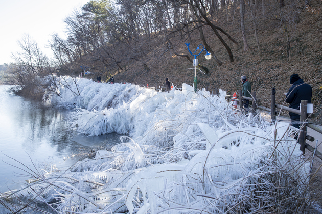 선암호수공원 산책로 얼음동산