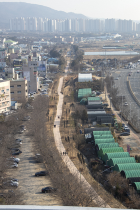 사진6