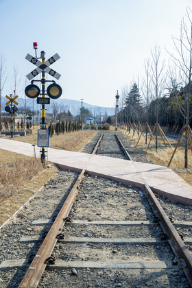 사진7