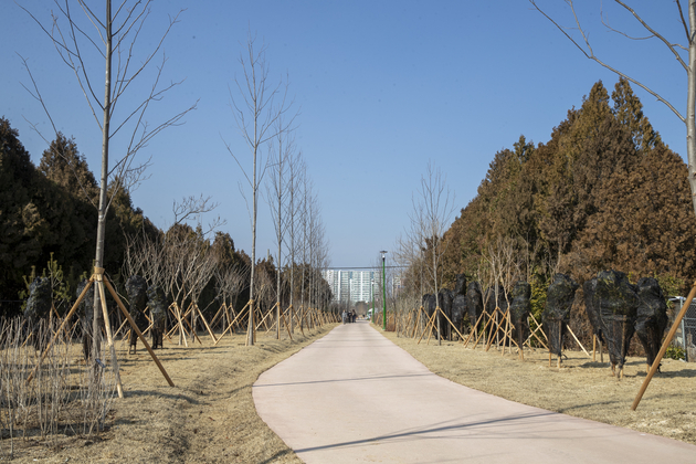 사진9