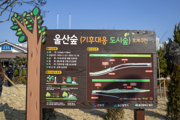 사진11