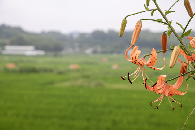 사진3