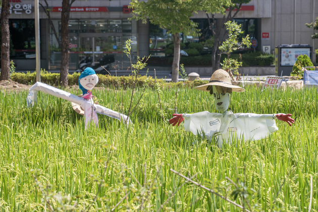 사진2