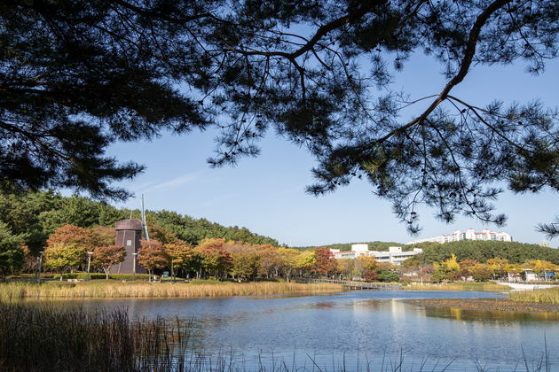 울산대공원의 가을