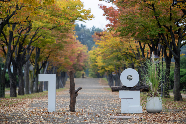 울산체육공원 마로니에광장
