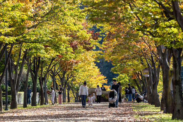 울산체육공원 마로니에광장