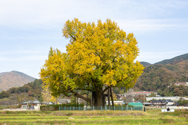 사진4