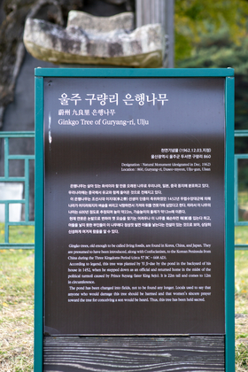 사진5