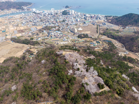 서생포왜성에서 바라본 시가지 전경