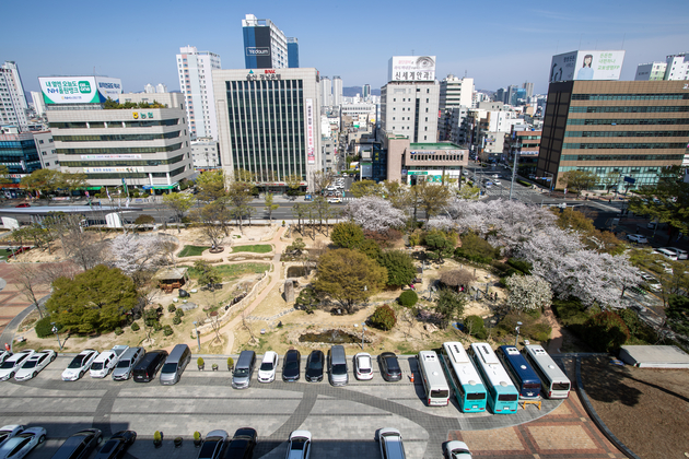 시청사 마당 봄풍경