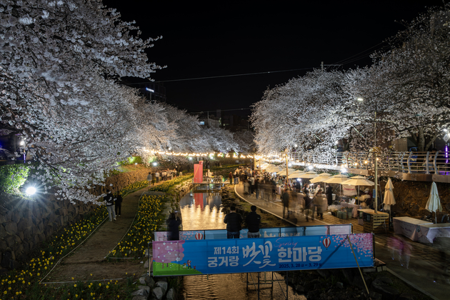 무거천 벚꽃 야경