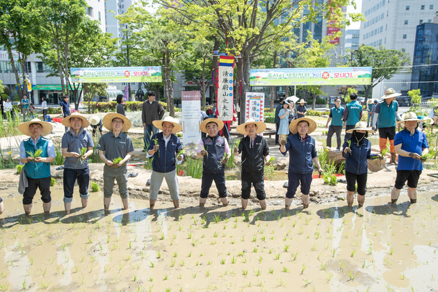 시청사 생활정원 청렴미(모내기)