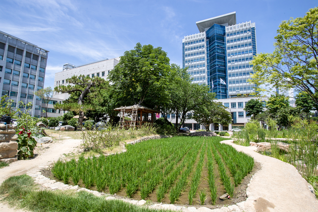 시청사 생활정원(논정원) 및 쉼터