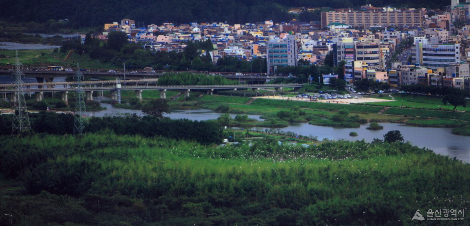 조류생태원