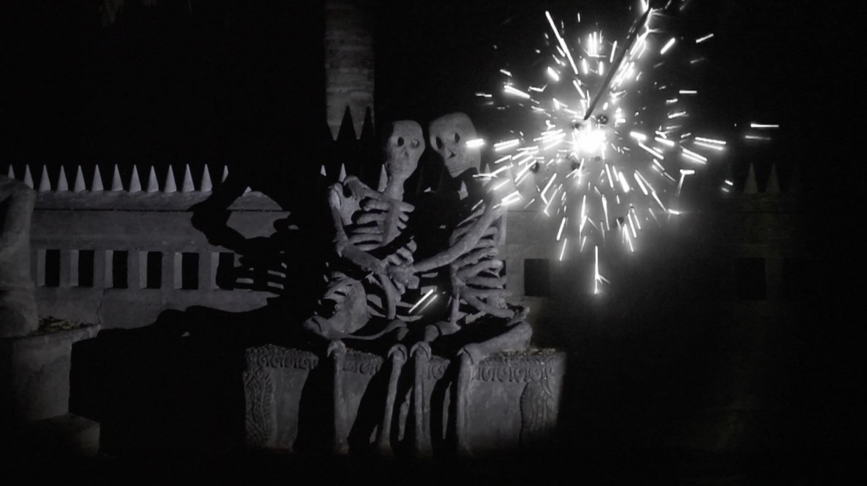  Apichatpong Weerasethakul, <Fireworks(Archives)>, 2014