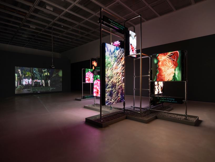 Hito Steyerl, This is the Future 2019, Single-channel video (color, sound), 16m, Ulsan Art Museum Collection