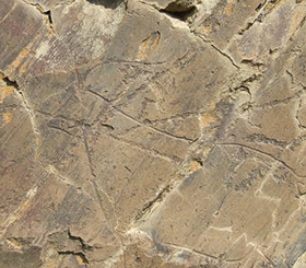 코아 계곡과 시에가 베르데의 선사시대 바위그림 유적(Prehistoric Rock-Art Sites in the Côa Valley and Siega Verde) 사진